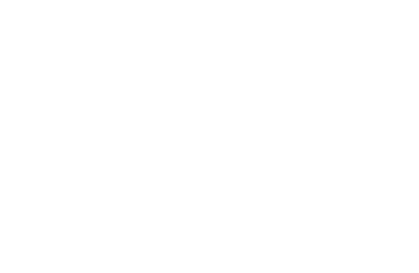 Tetti Top Service